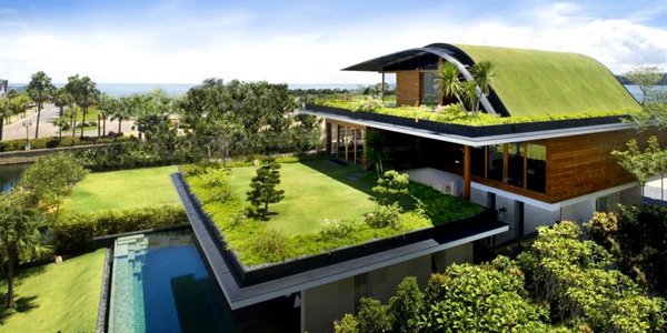 7-green-roof.jpg