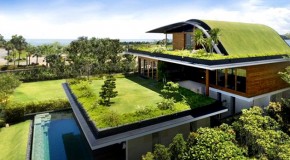 Ten Insights for Designing Eco-Friendly Green Homes