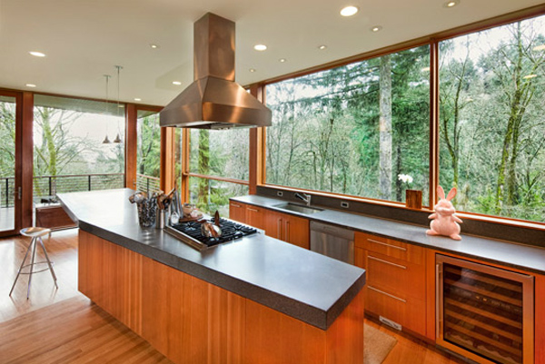 http://homedesignlover.com/wp-content/uploads/2011/12/9-kitchen.jpg