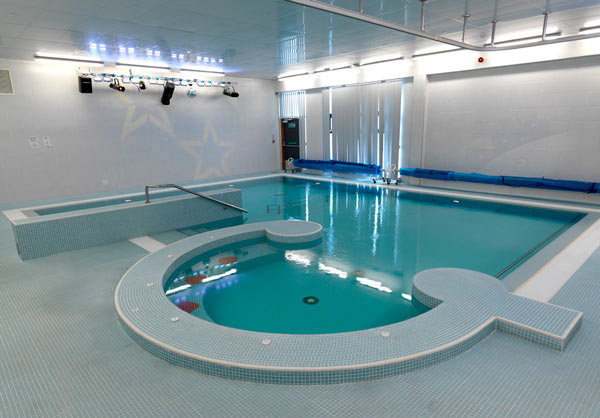 Well-Spirited Indoor Pool Design