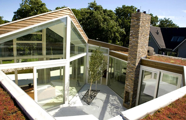 Contemporary Courtyard