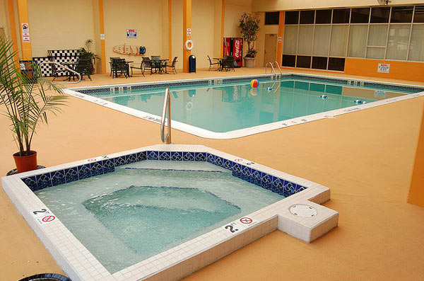 Indeed Relaxing Indoor Pool Design