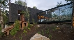 The Ranco House in Kept in a Forest in Chile