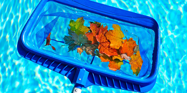 Regularly monitor the cleaning system and clarity of pool water