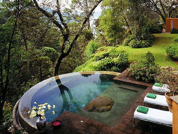 Pool Landscape with plants