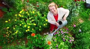 How to Maintain Your Home’s Landscape