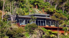 The Incredible Purotu Bach in Marlborough Sounds, New Zealand