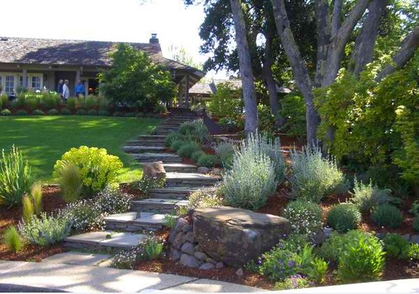 Woodside, CA: Stone Steps, Boulder, Native Plantings, Lawn