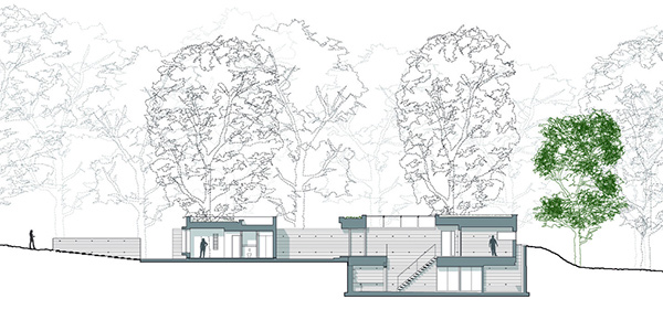 cross section