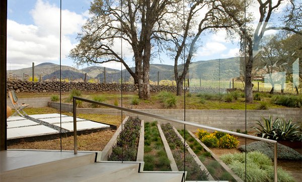 Napa Wall Vineyard House