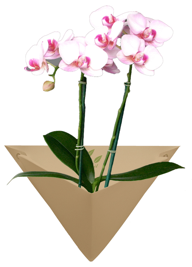 Origami Wall Planter
