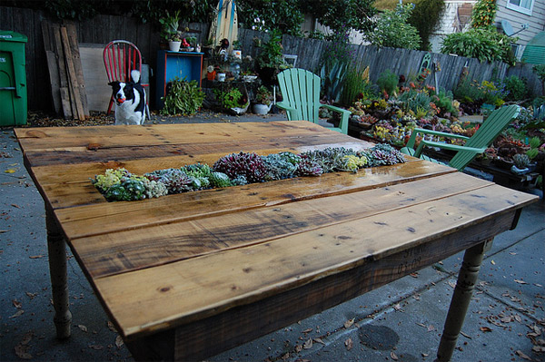 succulent pallet table