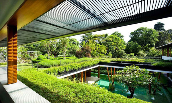 roof garden design