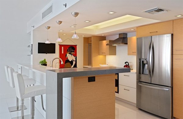 Modern Condo Kitchen