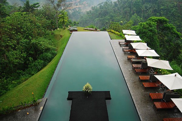 Endearing Pool Design