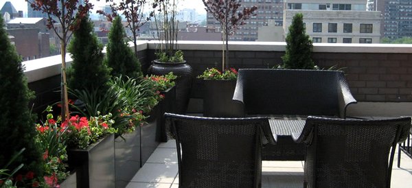 roof garden landscapes