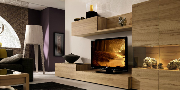 Entertainment Center