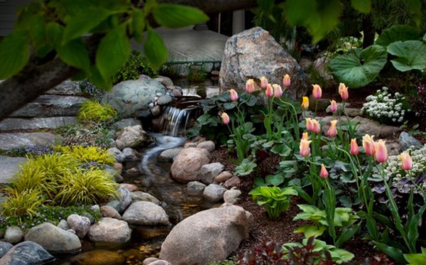 innovative water garden