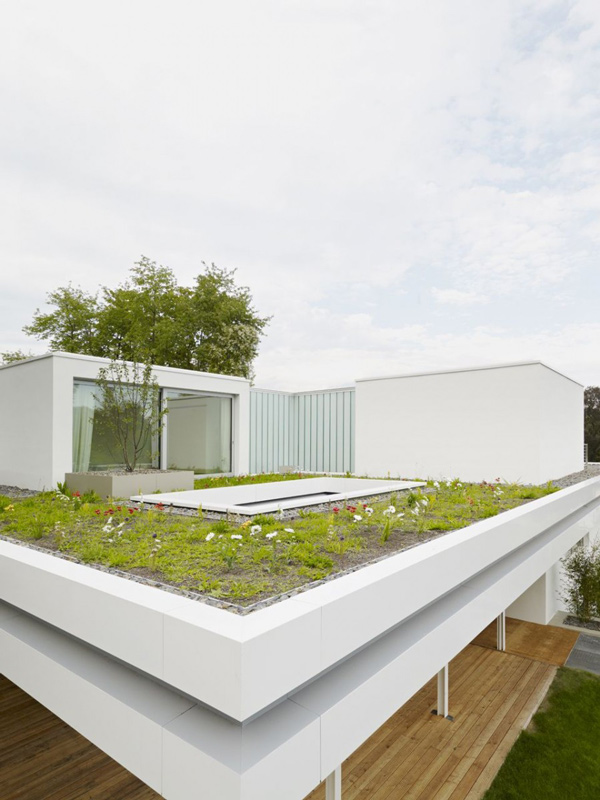 The Distinct and Simple Rooftop Garden of House S | Home Design Lover on Roof Landscape Design
 id=20420