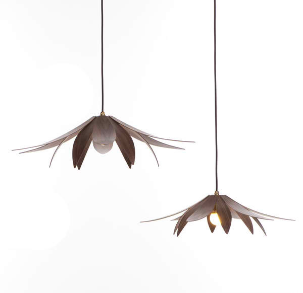 Pendant Luminaire Designs