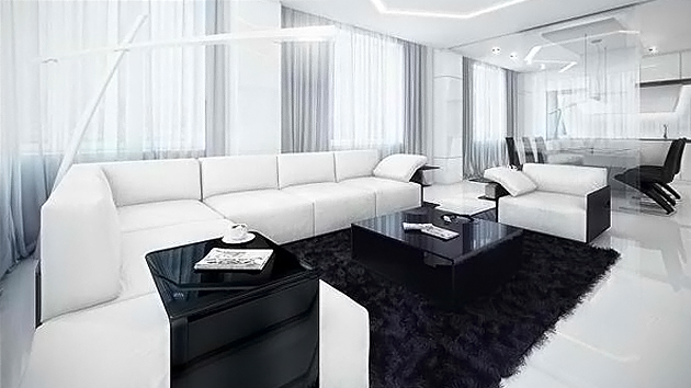 20 Modern Contemporary Black  and White  Living  Rooms  Home 