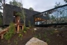 ranco house forest in chile