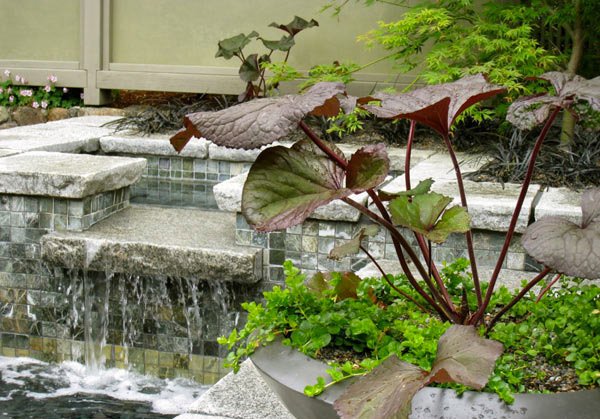 courtyard water