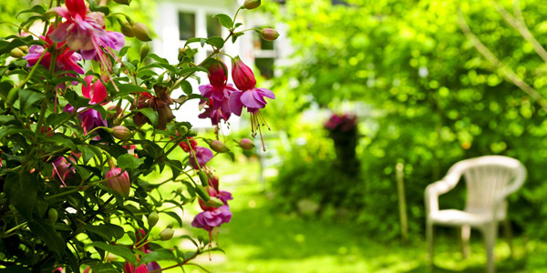 Tips in Landscaping a Small Garden | Home Design Lover