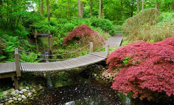 hanging bridge