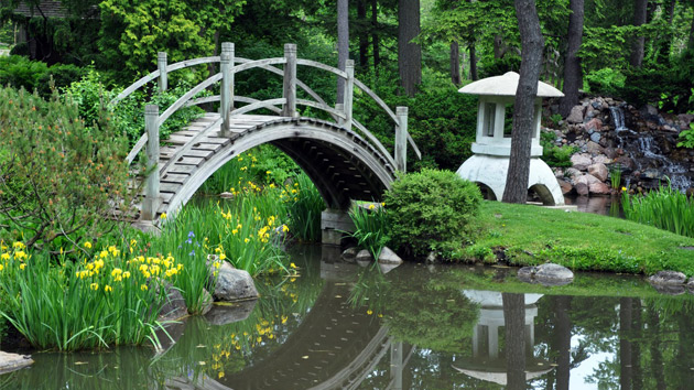 Backyard bridge designs