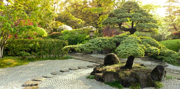 Conozca el tamaño del jardín