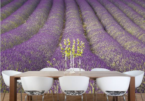 Lavender Field in Provence Wall Mural
