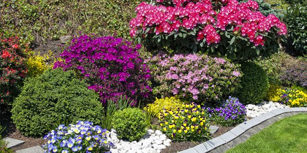 How to Choose Plants for Landscaping | Home Design Lover