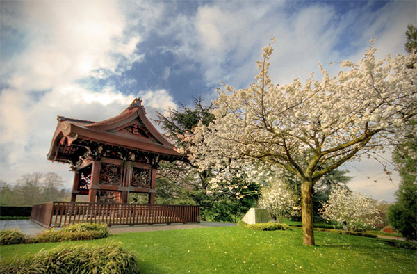 pagoda decor