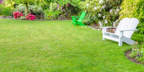 How to Choose Plants for Landscaping | Home Design Lover