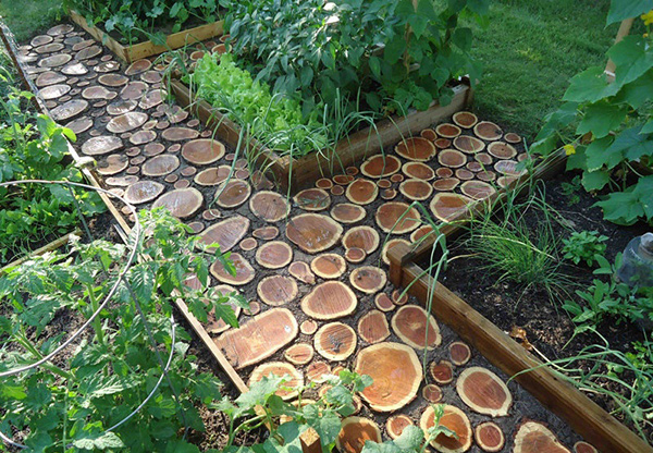 garden pathway designs