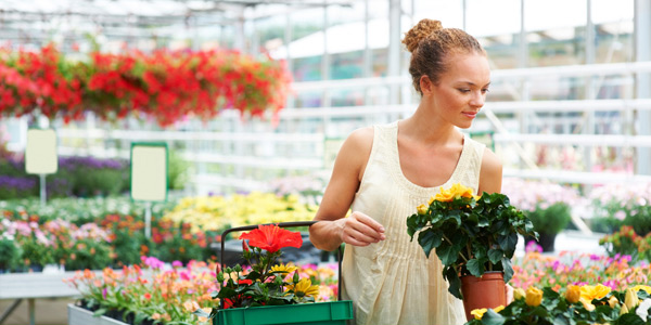 Inspect plants regularly