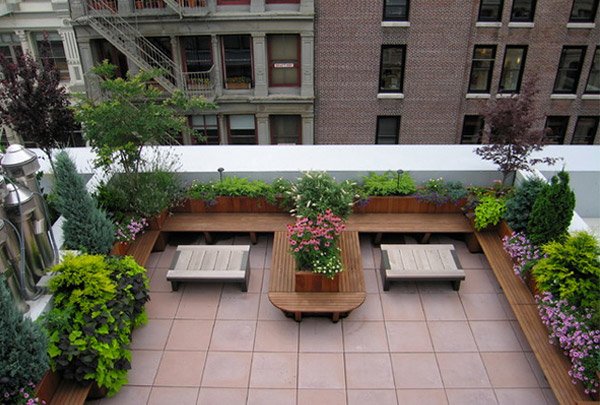 roof top garden