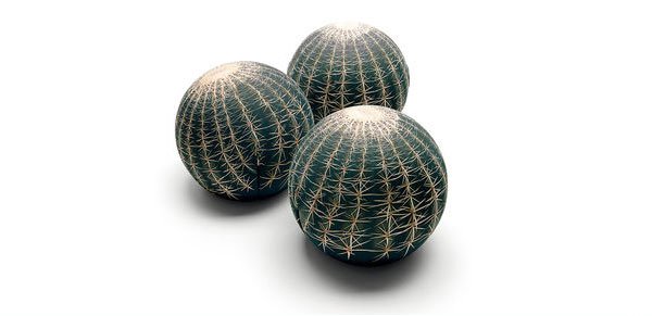 cactus poufs