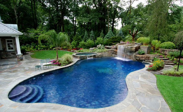 Backyard Pool Design