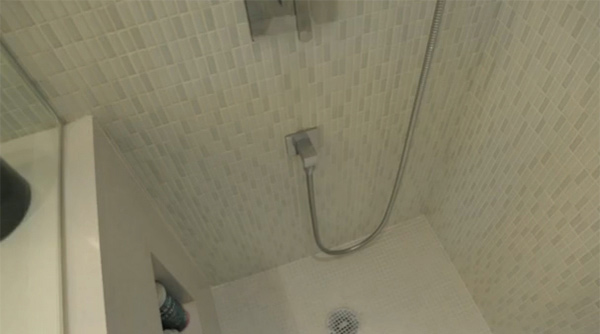 Tiny Apartment Shower