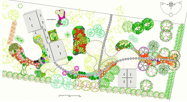 landscape plan