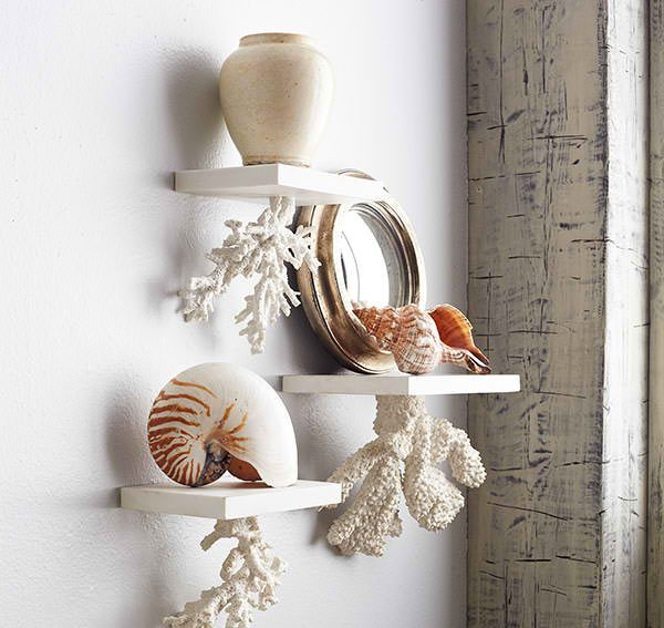 Floating Coral Shelf