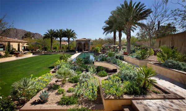 desert landscape design arizona front yard remodel