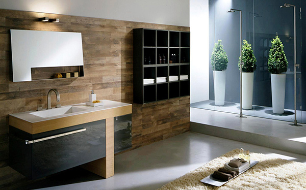 20 Contemporary Bathroom Design Ideas  Home Design Lover