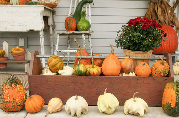 Autumn Porches Residence