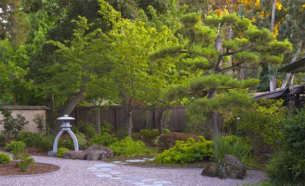 tree landscape design