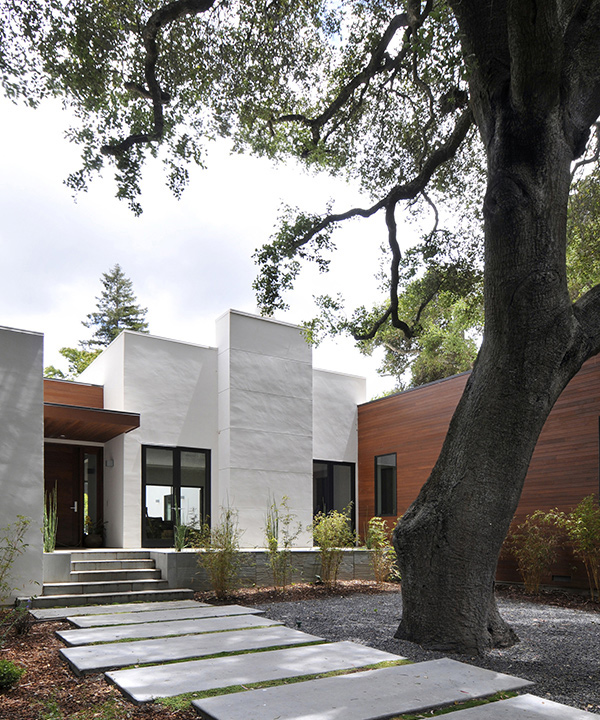 Ana Williamson Architect