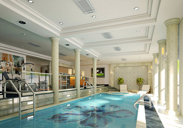 indoor Basement Pool