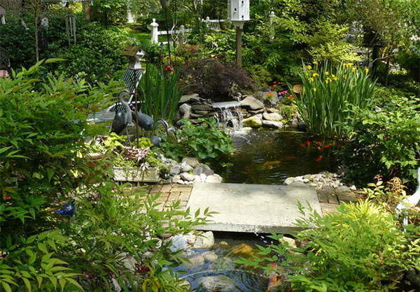 pond landscape designs